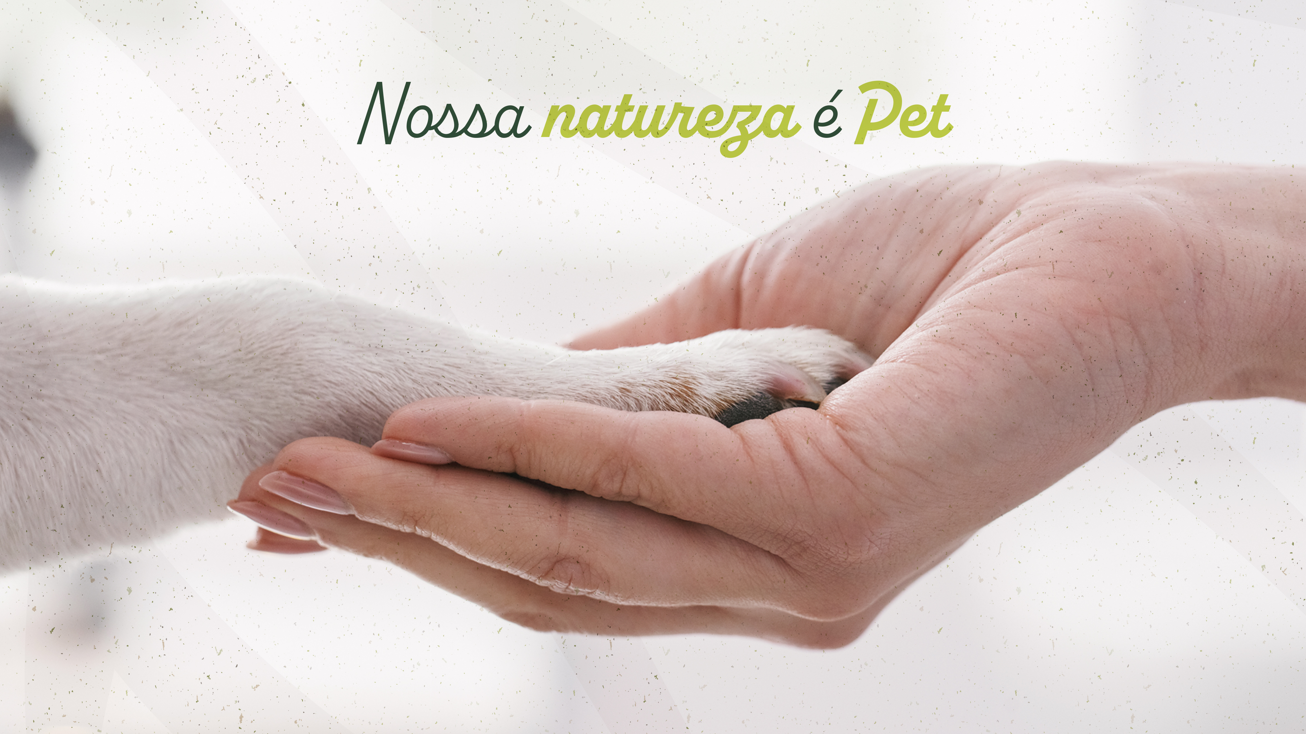 banner de uma pata de cachorro e uma mao humana